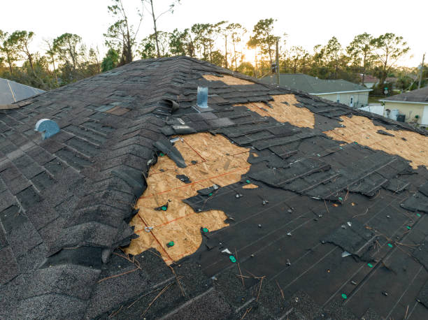 Skylights in Dora, AL