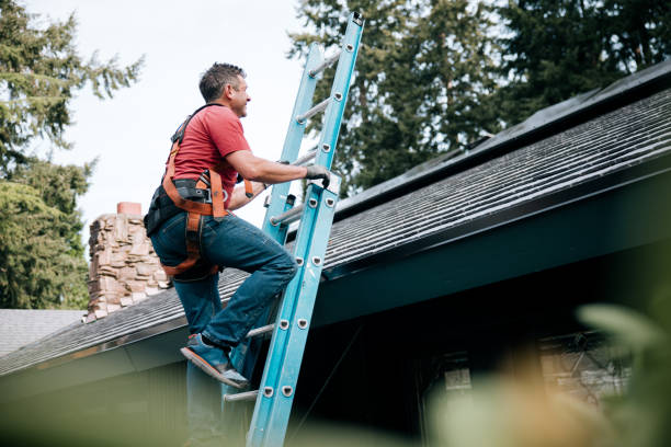 Best Roof Maintenance and Cleaning  in Dora, AL